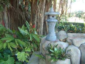 Picture 019