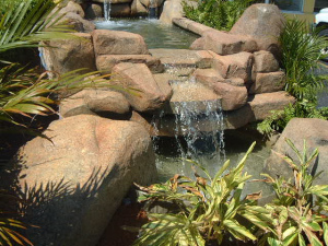 Picture 092