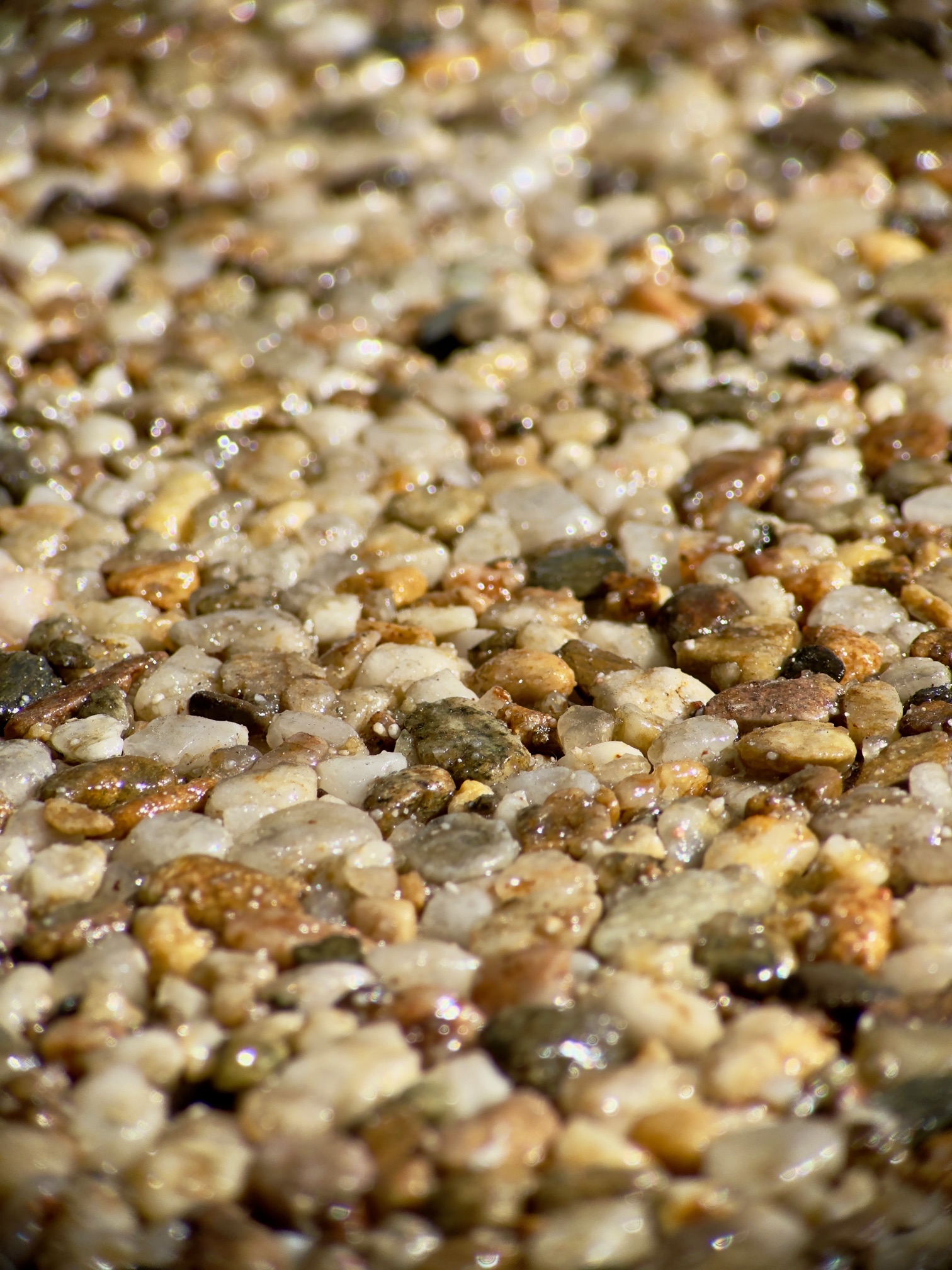 Close-up view of wet, multicolored pebbles and small stones, glistening under sunlight like polished resin rock.